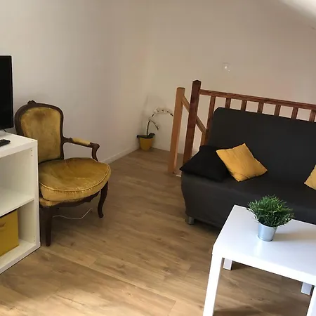 Renove Proche Palais Des Sports Apartman Grenoble